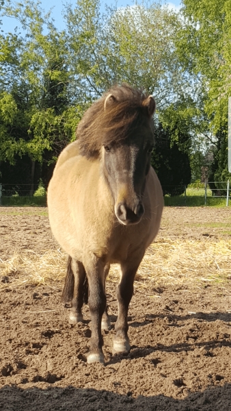 Das ist Paula. Manchmal kommt sie uns im Zwergenschloss besuchen! Aber sie ist nicht allein..